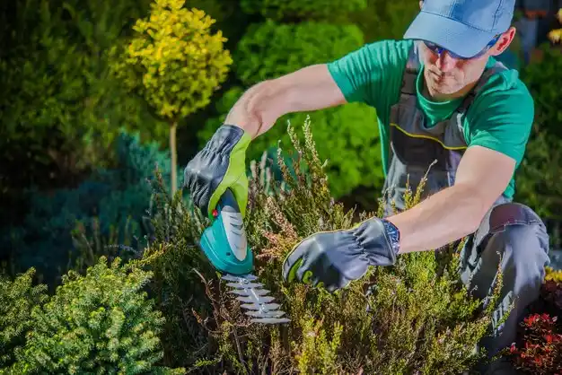 landscaping services Binghamton University